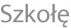 Szkołę